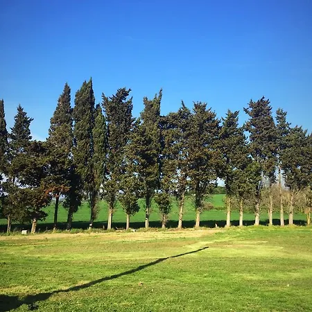 Podere La Pace * Vada