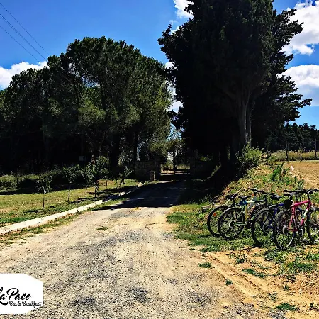 Podere La Pace Vada