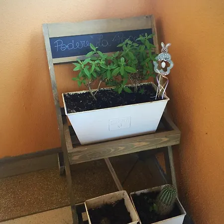 Bed & Breakfast Podere La Pace 4*