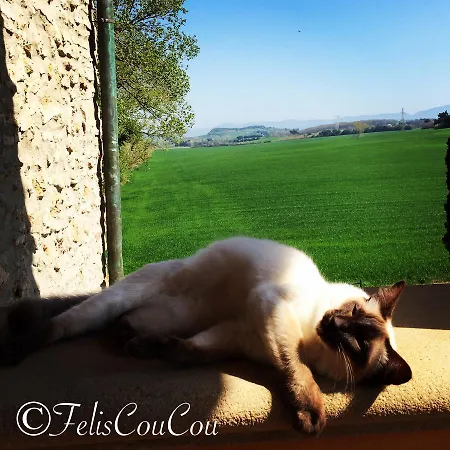 Bed & Breakfast Podere La Pace 4*