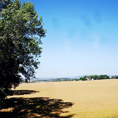 Podere La Pace Vada