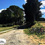 Podere La Pace ואדה